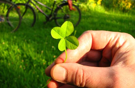 Consultoría ambiental en Ponteareas